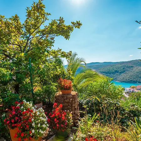 Magnolia Rabac